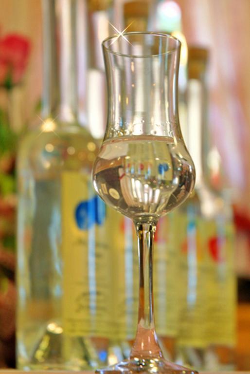 Gasthof Grossschedl Zum Kramerwirt Lassnitzhoehe Ngoại thất bức ảnh
